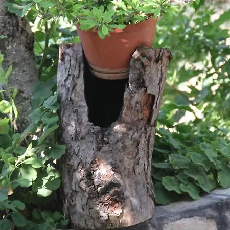 Ξενοδοχείο Sema